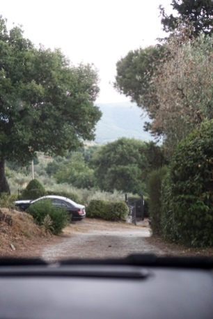 passenger - fiat - italy - pergo - countryside - tuscany - driving - 35mm photograhpy